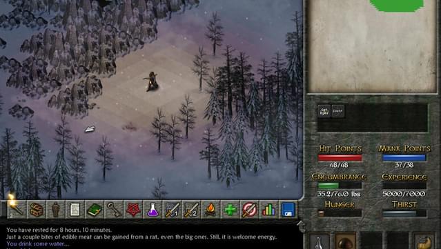 Eschalon: Book II PC Screenshot