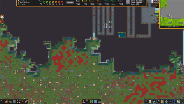 Dwarf Fortress Gameplay Screenshot