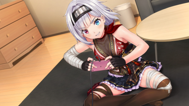 NinNinDays2 Gameplay Screenshot