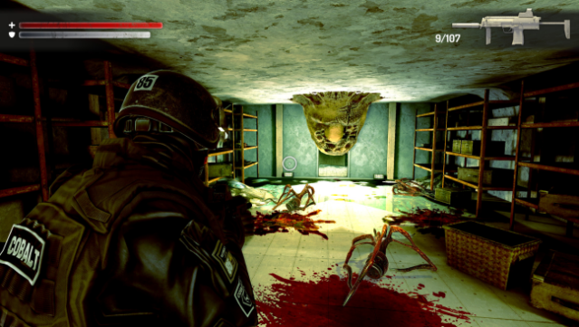 Wall of insanity PC Screenshot